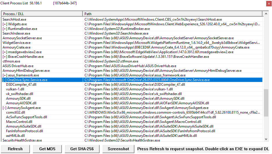 GameGuard client process list with paths and loaded DLL files